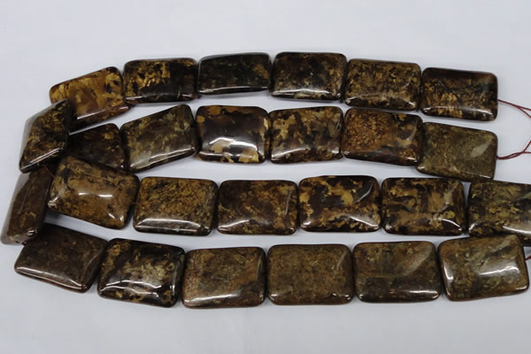 CBZ424 15.5 inches 22*30mm rectangle bronzite gemstone beads