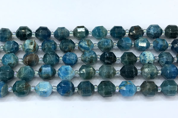 CCB1467 15 inches 9mm - 10mm faceted apatite beads