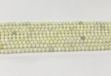 CCB827 15.5 inches 4mm round ivory jasper gemstone beads wholesale
