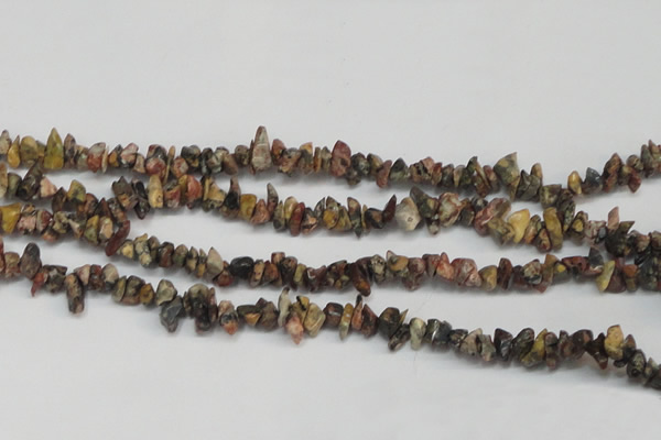 CCH204 34 inches 3*5mm red leopard skin jasper chips beads wholesale