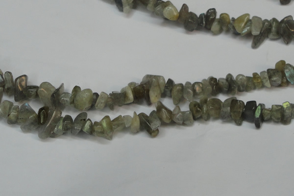CCH217 34 inches 5*8mm labradorite chips gemstone beads wholesale