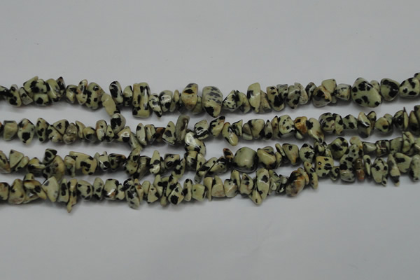 CCH228 34 inches 5*8mm dalmatian jasper chips gemstone beads wholesale