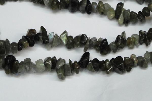 CCH277 34 inches 8*12mm labradorite chips gemstone beads wholesale