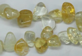 CCH312 15.5 inches 10*15mm citrine chips gemstone beads wholesale
