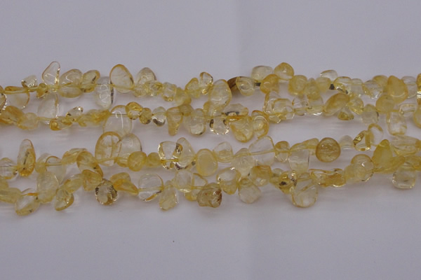 CCH612 15.5 inches 6*8mm - 10*14mm citrine chips gemstone beads