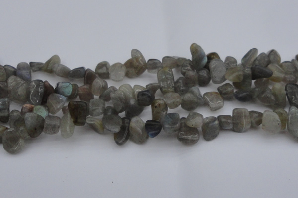CCH618 15.5 inches 6*8mm - 10*14mm labradorite chips gemstone beads