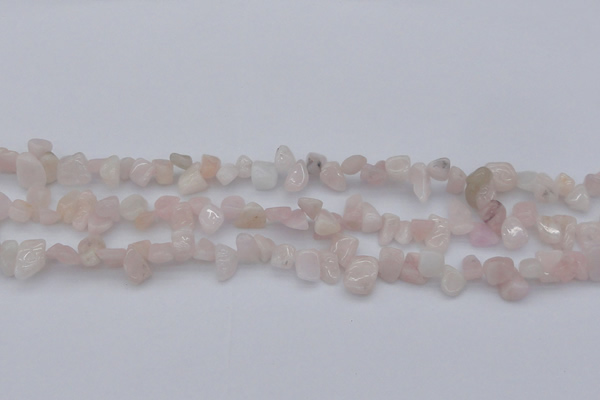 CCH626 15.5 inches 6*8mm - 10*14mm morganite gemstone chips beads