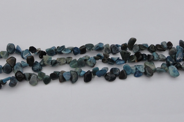 CCH628 15.5 inches 6*8mm - 10*14mm apatite gemstone chips beads