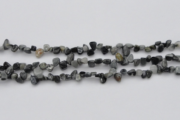 CCH633 15.5 inches 6*8mm - 10*14mm eagle eye jasper chips beads