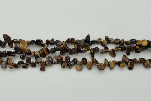 CCH638 15.5 inches 6*8mm - 10*14mm yellow tiger eye chips beads