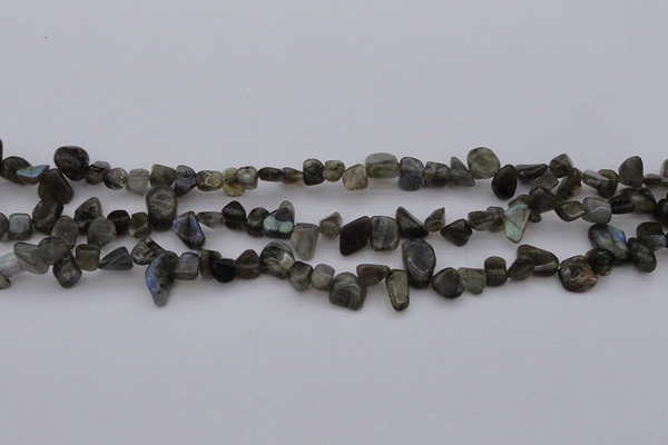 CCH642 15.5 inches 6*8mm - 10*14mm labradorite chips beads