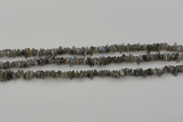 CCH645 15.5 inches 4*6mm - 5*8mm labradorite chips beads