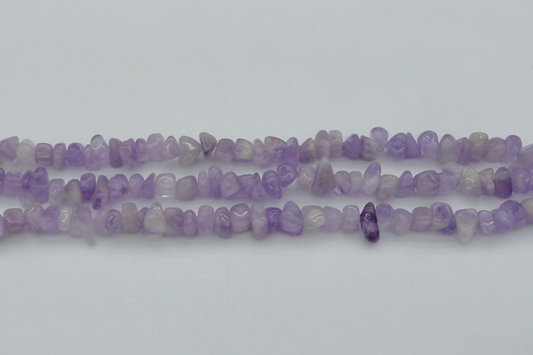 CCH648 15.5 inches 8*12mm - 10*14mm lavender amethyst chips beads