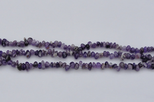 CCH649 15.5 inches 4*6mm - 5*8mm amethyst gemstone chips beads