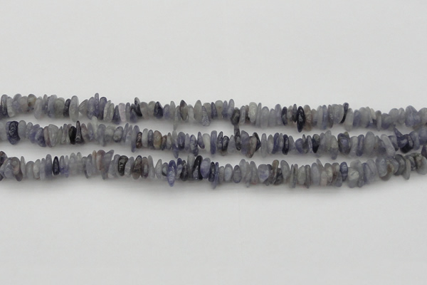 CCH658 15.5 inches 4*6mm - 5*8mm iolite gemstone chips beads