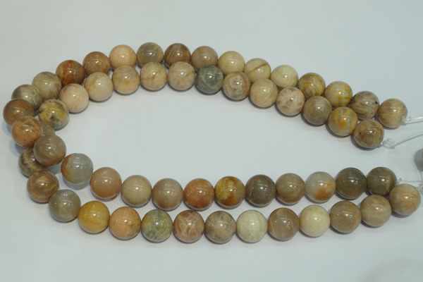 CCS308 15.5 inches 18mm round natural sunstone beads wholesale