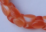 CCT39 14.5 inches 6*10mm drum-shaped orange red cats eye beads