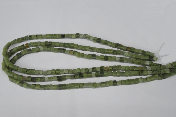 CCU28 15.5 inches 5*5mm cube Canadian jade beads wholesale