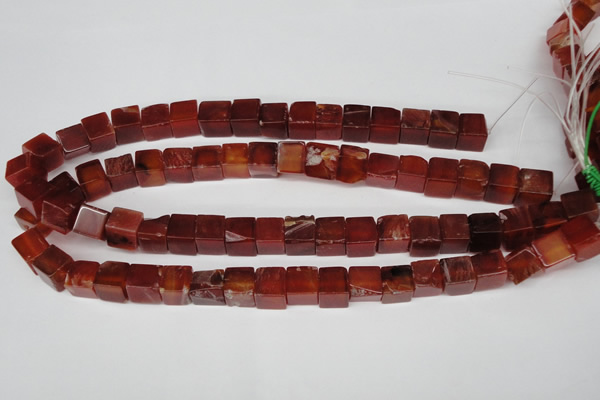 CCU70 15.5 inches 10*10mm cube red agate beads wholesale