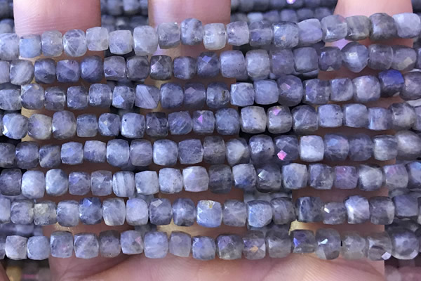 CCU808 15 inches 4mm faceted cube labradorite beads