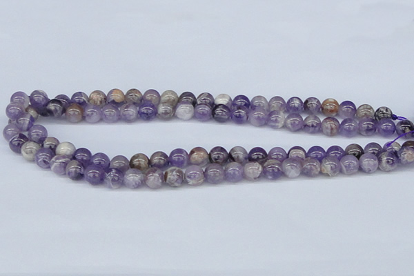 CDA52 15.5 inches 8mm round dogtooth amethyst beads wholesale