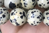 CDM94 15.5 inches 12mm round dalmatian jasper beads wholesale