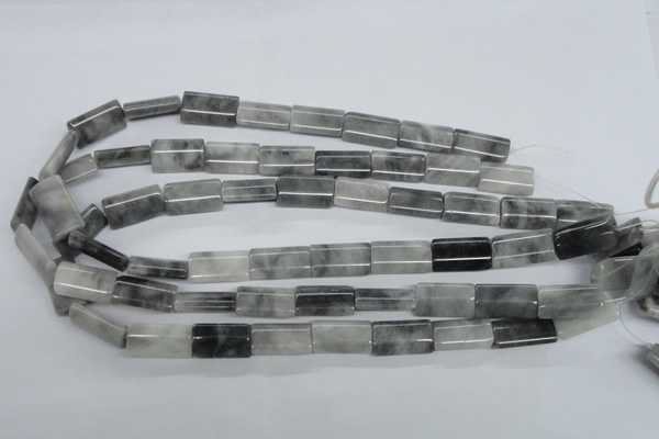 CEE211 15.5 inches 12*20mm flat tube eagle eye jasper beads