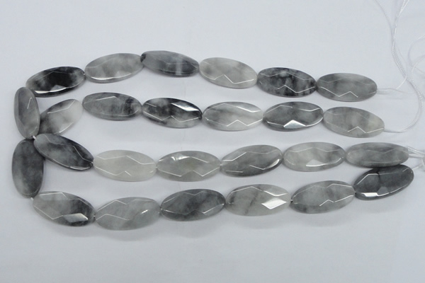 CEE214 15.5 inches 15*30mm faceted oval eagle eye jasper beads