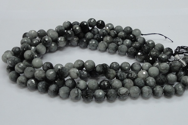 CEE22 15.5 inches 12mm faceted round eagle eye jasper beads wholesale