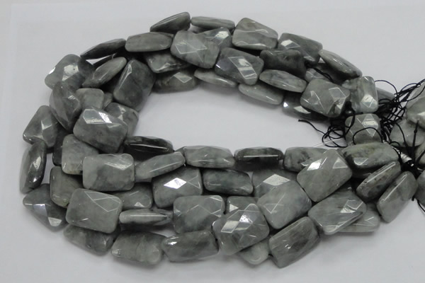 CEE35 15.5 inches 18*25mm faceted rectangle eagle eye jasper beads