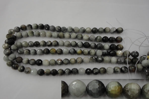 CEE353 15.5 inches 10mm faceted round eagle eye jasper beads