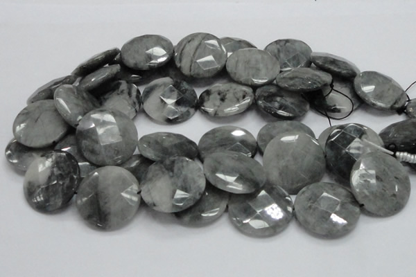 CEE40 15.5 inches 30mm faceted coin eagle eye jasper beads wholesale