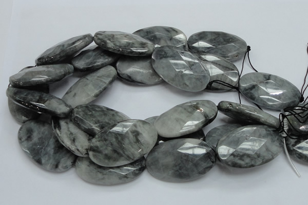 CEE45 15.5 inches 30*50mm faceted oval eagle eye jasper beads