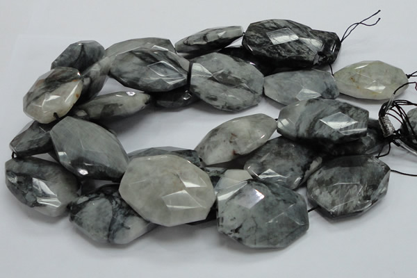 CEE47 15.5 inches 32*40mm faceted freeform eagle eye jasper beads