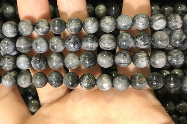 CEE520 15.5 inches 8mm round eagle eye jasper beads wholesale