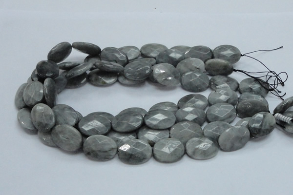 CEE55 15.5 inches 15*30mm faceted oval eagle eye jasper beads
