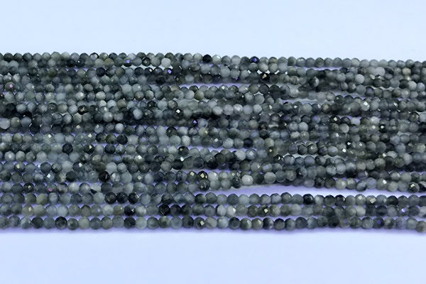 CEE560 15 inches 2mm faceted round eagle eye jasper beads