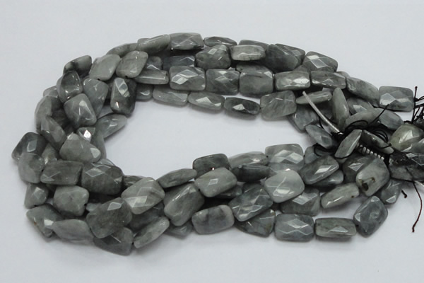 CEE59 15.5 inches 8*12mm faceted rectangle eagle eye jasper beads