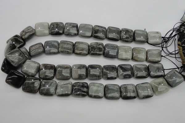 CEE78 15.5 inches 18*18mm square eagle eye jasper beads