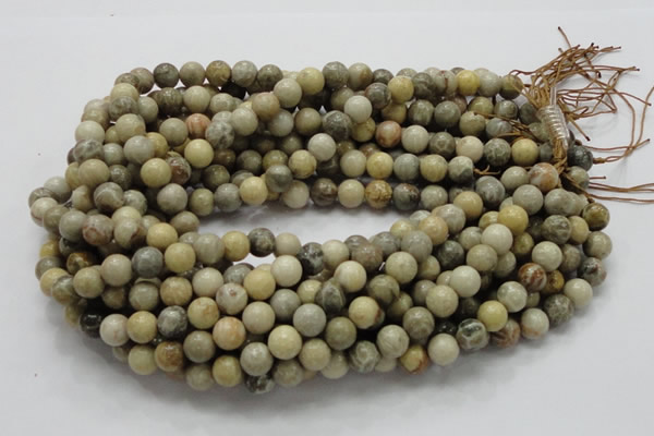 CFA03 15.5 inches 10mm round chrysanthemum agate gemstone beads