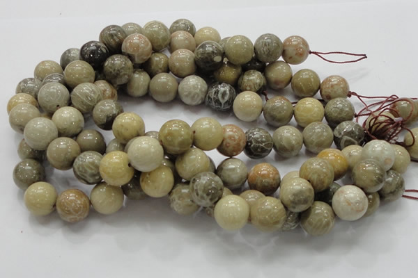 CFA04 15.5 inches 16mm round chrysanthemum agate gemstone beads