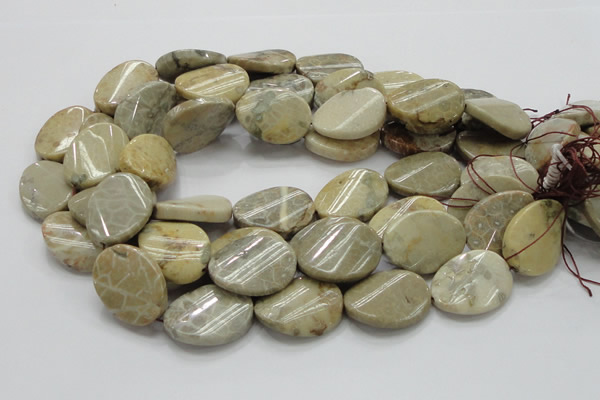 CFA21 15.5 inches 22*30mm twisted oval chrysanthemum agate beads