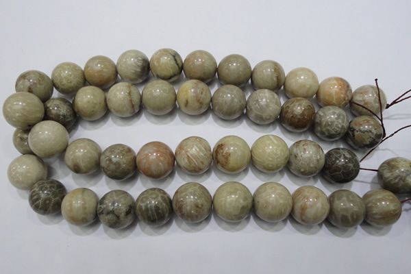 CFA27 15.5 inches 18mm round chrysanthemum agate gemstone beads