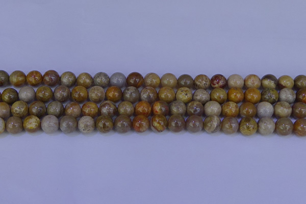 CFC202 15.5 inches 8mm round fossil coral beads wholesale
