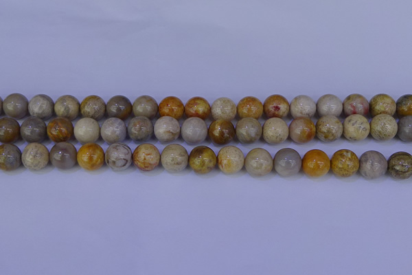 CFC203 15.5 inches 10mm round fossil coral beads wholesale