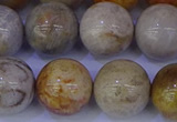 CFC205 15.5 inches 14mm round fossil coral beads wholesale