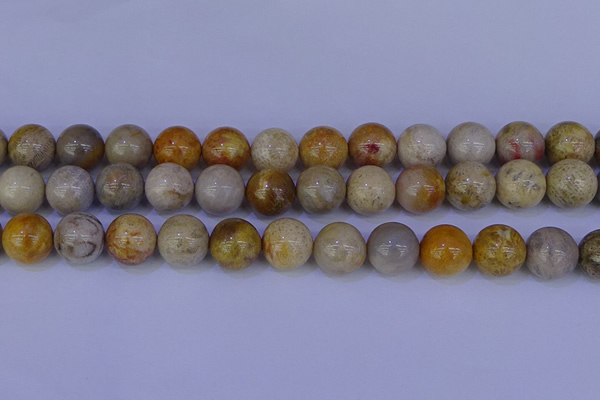 CFC205 15.5 inches 14mm round fossil coral beads wholesale