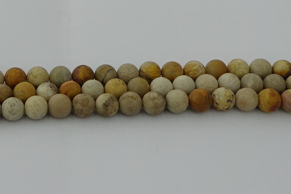 CFC224 15.5 inches 12mm round matte fossil coral beads wholesale