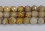 CFC228 15.5 inches 4mm faceted round fossil coral beads