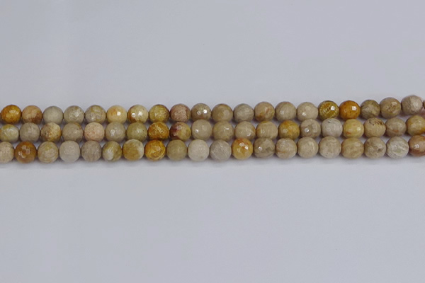 CFC229 15.5 inches 6mm faceted round fossil coral beads